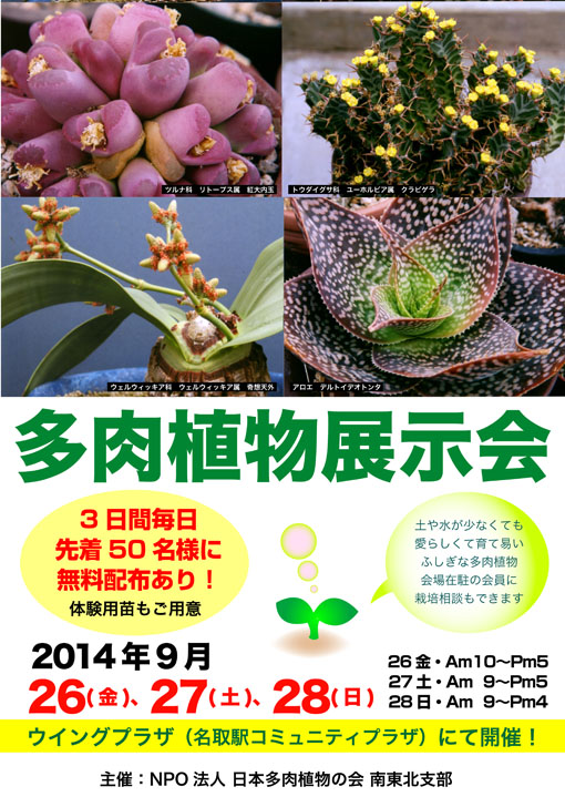 2014多肉植物展示会